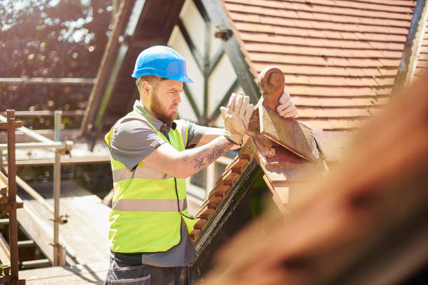 Best Roof Leak Repair  in Pleasant Ridge, MI