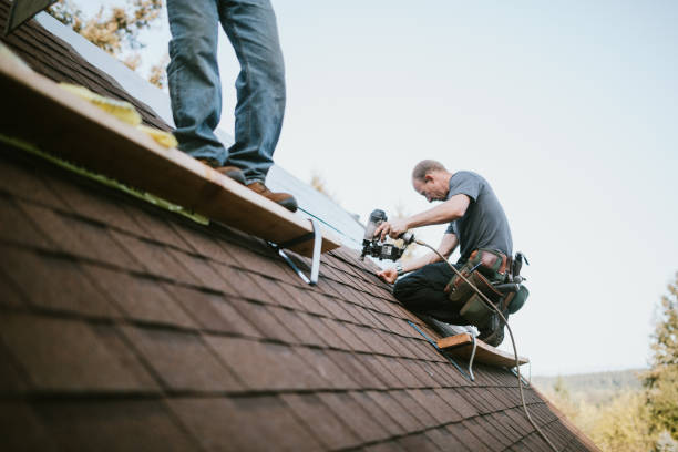 Best Gutter Installation and Roofing  in Pleasant Ridge, MI